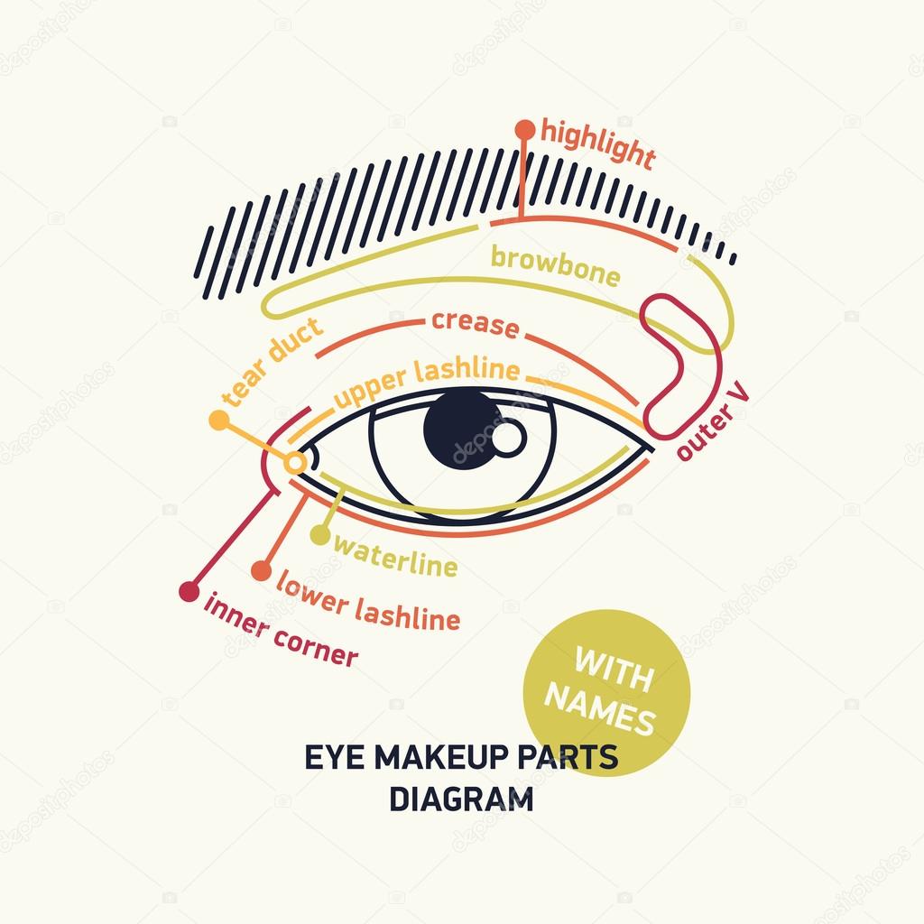1024x1024 Diagram For Eye Makeup With Names. Stock Vector Masha Tace