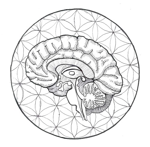 500x489 The Third Eye Of Horus Tumblr