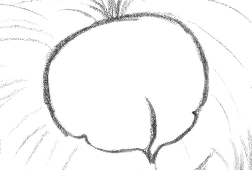 500x339 6.2.a11 Create A Portrait Of Jumpin' Jack