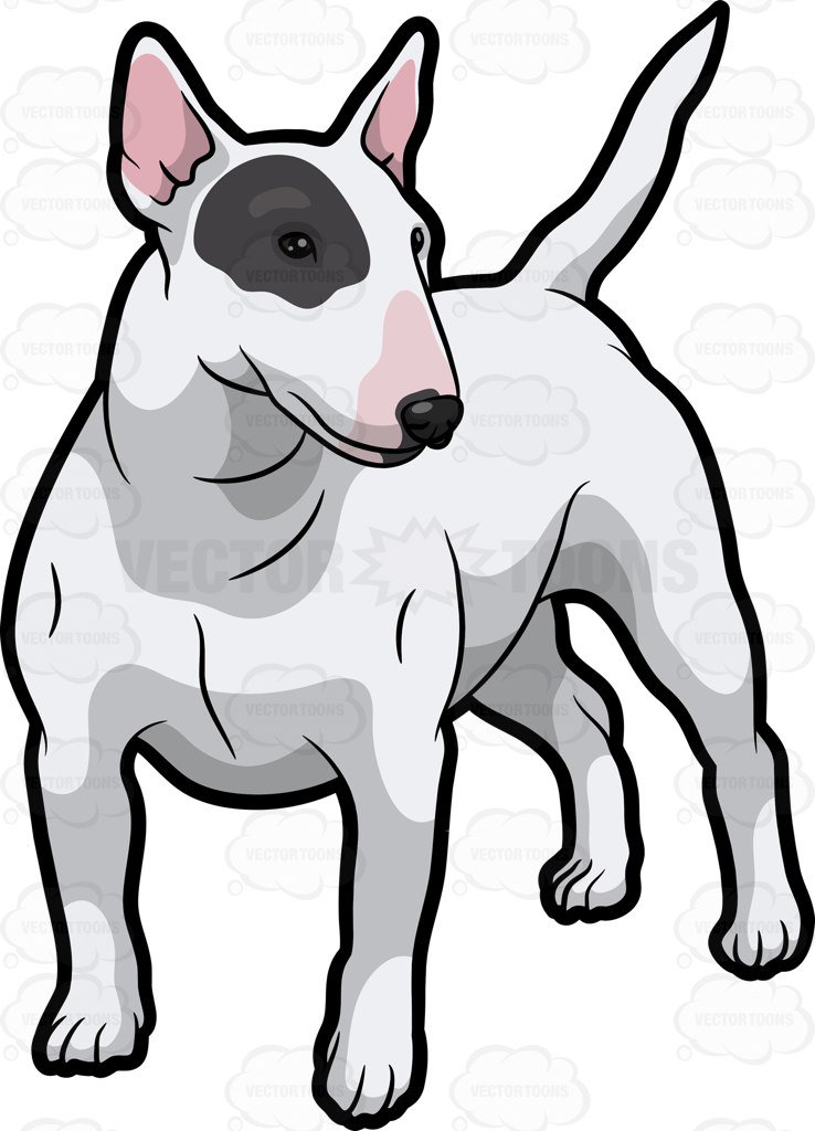 738x1024 A White Bull Terrier With A Black Patch Over One Eye Cartoon