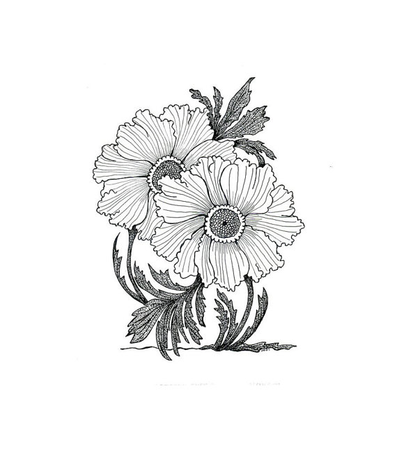 570x664 Starry Eyes Original Pen And Ink Drawing Tattoo Inspiration