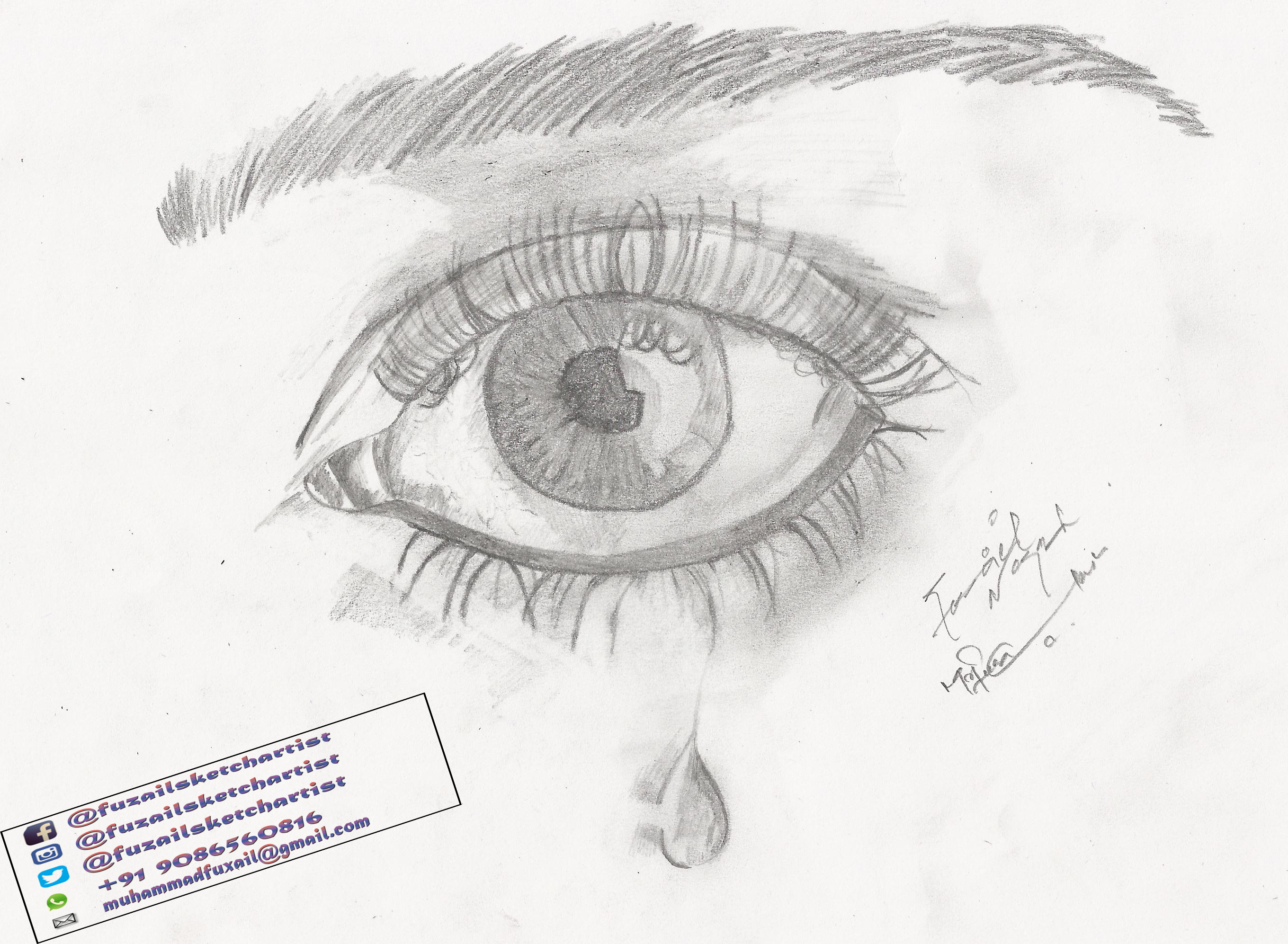 2720x1994 Fileeye With Tear.jpg