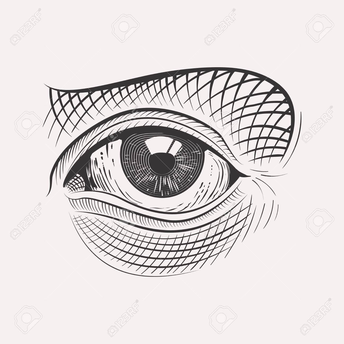 1300x1300 Engraved Eyehighly Detailed Hand Drawn Isolated On White