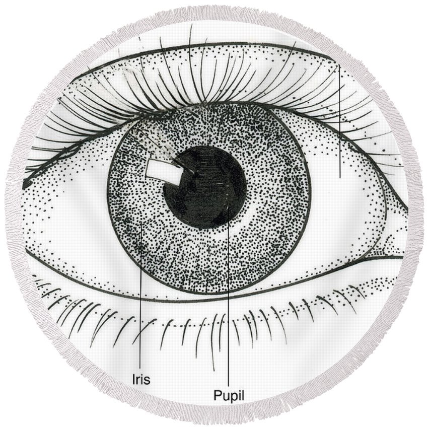 850x850 Illustration Of Human Eye Round Beach Towel For Sale By Science Source