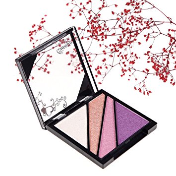 355x355 Qianyu Professional Ultra Shimmer 4 Color Eye Shadow