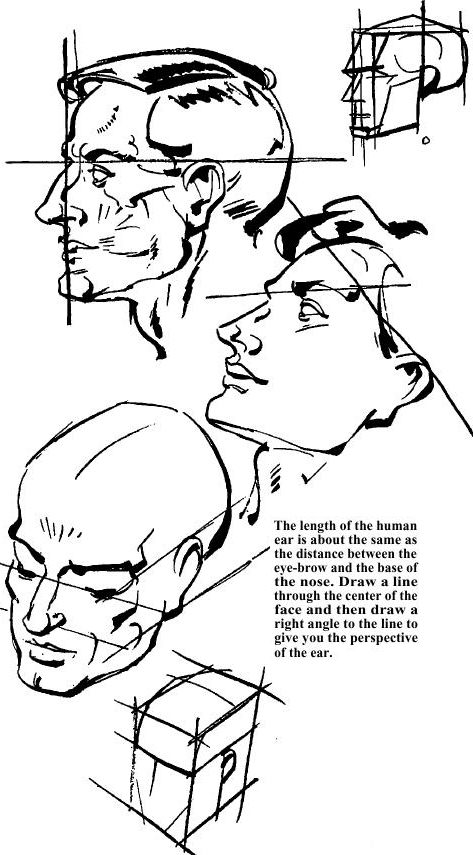 473x855 Drawing The Human Face Amp How To Draw Head, Eyes, Nose, Mouth, Ears