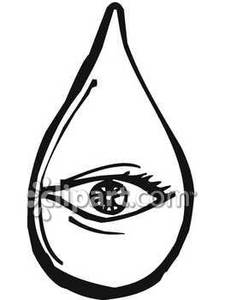 225x300 Inside A Teardrop