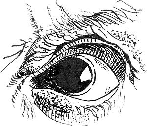 300x258 Orbit Trap October 2006