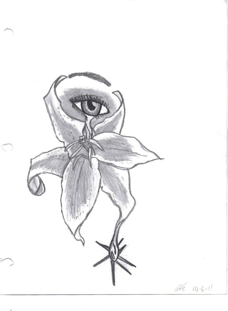 765x1044 Eye Of The Tear Drop Flower By Bcrazy1997