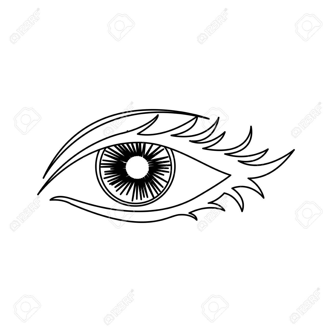 1300x1300 Outline Woman Eye Opened Icon Vector Illustration Royalty Free