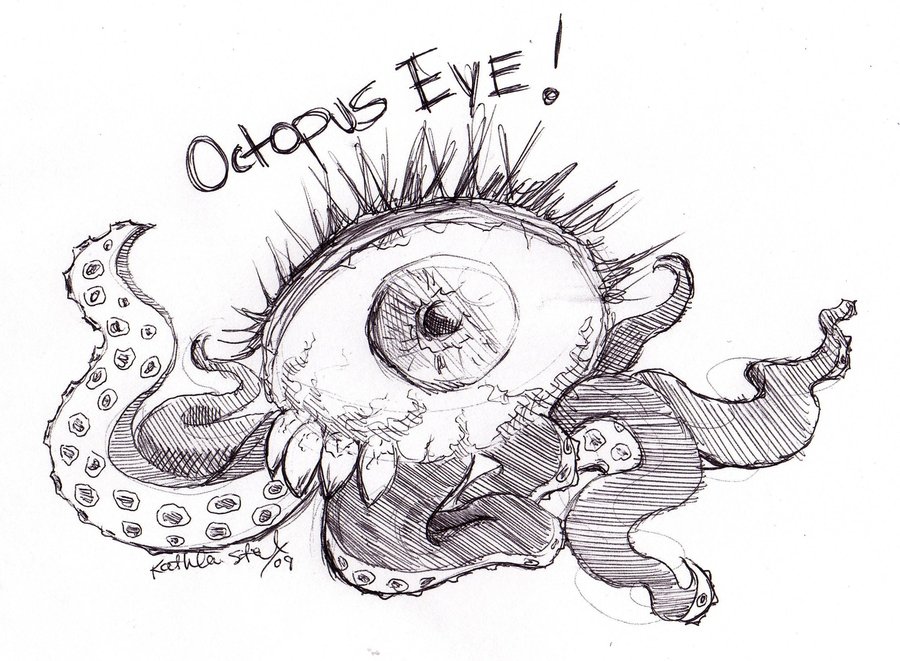 900x661 Octopus Eyeball By Vas Is Nus