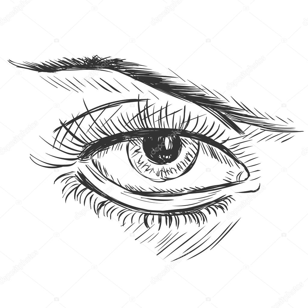 1024x1024 Vector Sketch Illustration