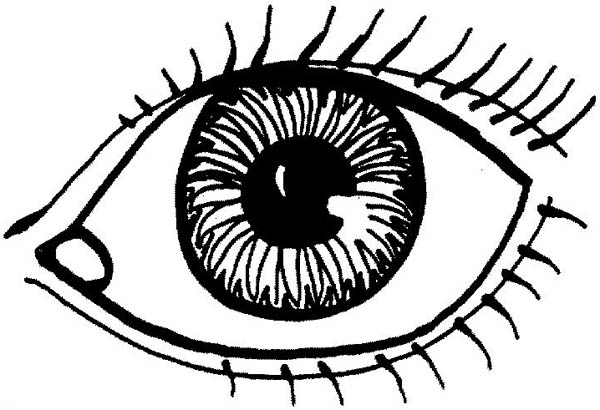 600x410 Eyes Coloring Page
