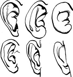 236x247 Step Drawing Of The Head Newspaper Art Word Text Picture12 Drawing