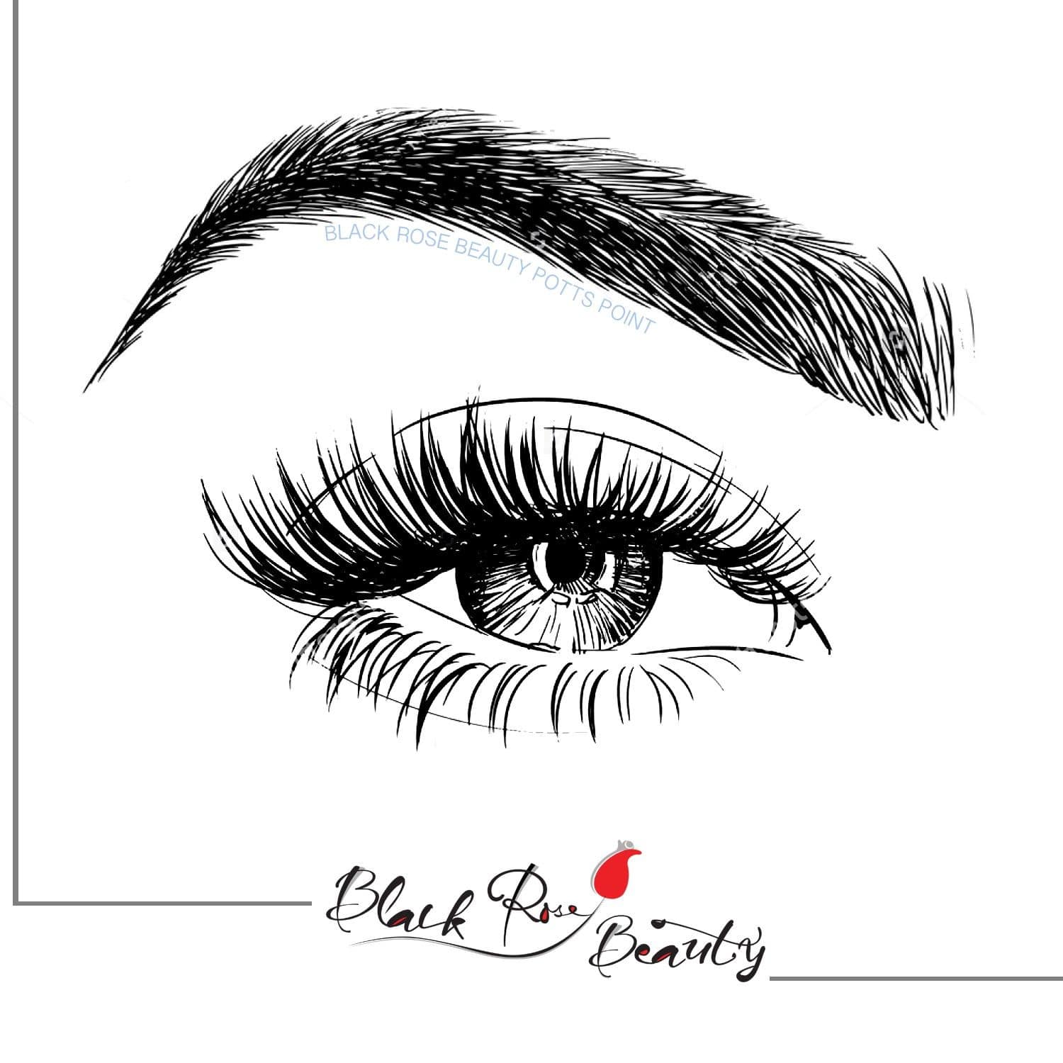 1500x1500 Black Rose Beauty Black Rose