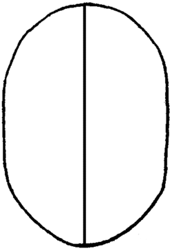 250x365 Drawing Faces Amp Head In Eyes, Nose, Mouth, Ears Brows