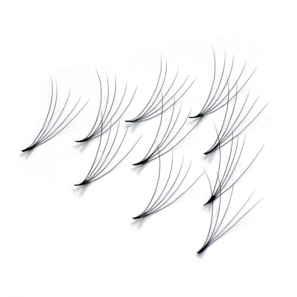 1000x1000 Noir Volume Lashes 0.07 5d Premade Fans Professional Eyelash