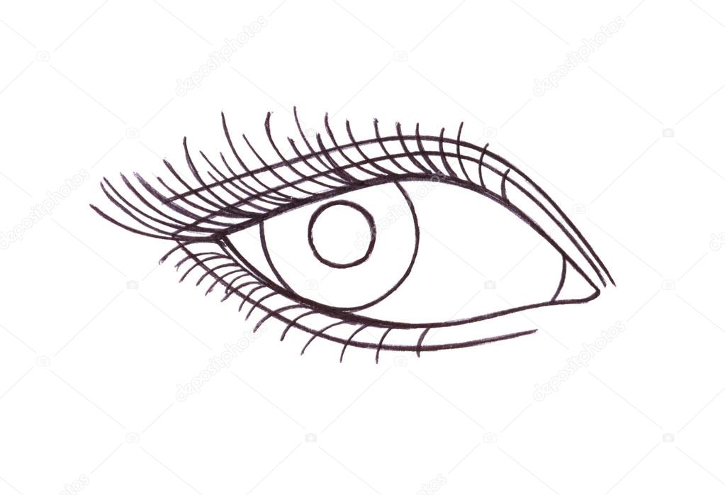 1023x698 Drawn Eye.graphic Style. Black Pen. Stock Photo Gala2205