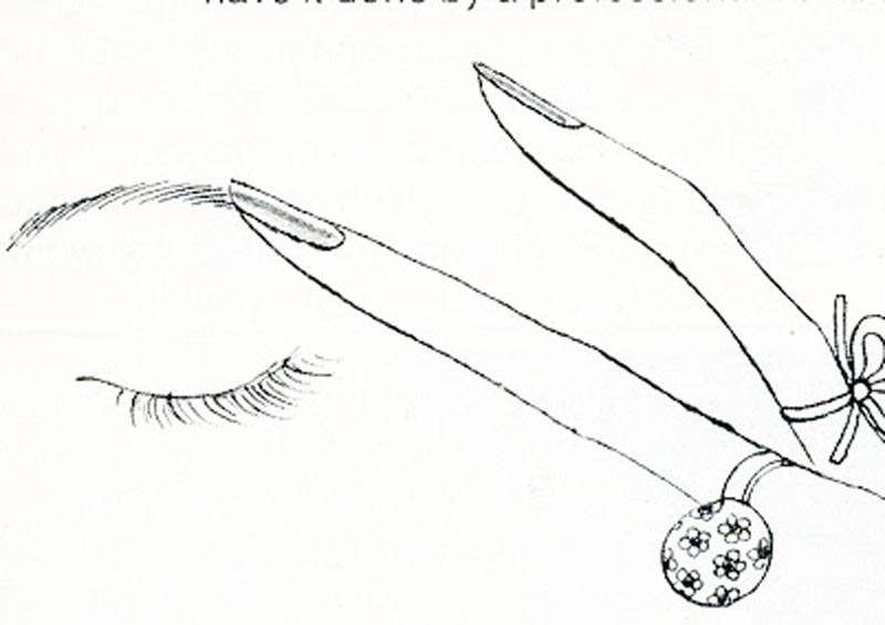 800x565 The Art Of The Eyebrow 1970s Beauty Tutorial Vintage Makeup Guide