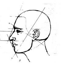 200x214 Art 415, 515 Art For Teachers I, Ii