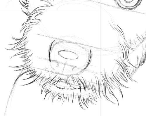 500x397 6.3.a2 Isaac The Jack Russell