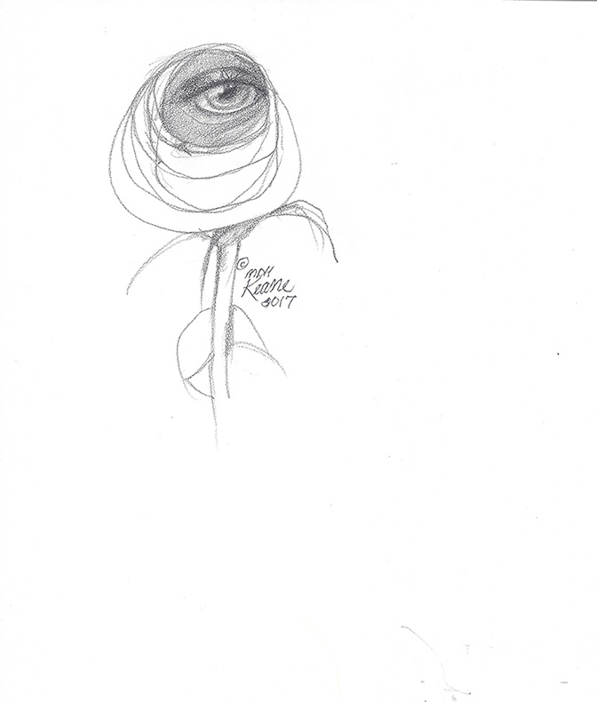 672x790 Eye In Single Rose Keane Eyes Gallery
