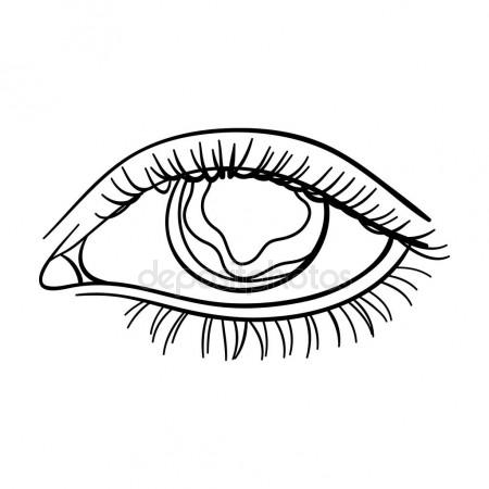 450x450 Sketch Of Seashells Stock Vector Lonely11