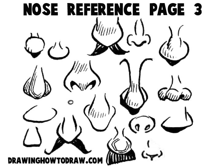 720x540 Gallery How To Draw Noses Cartoon,