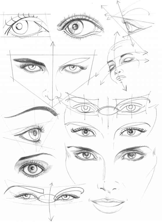 558x765 The Eyes