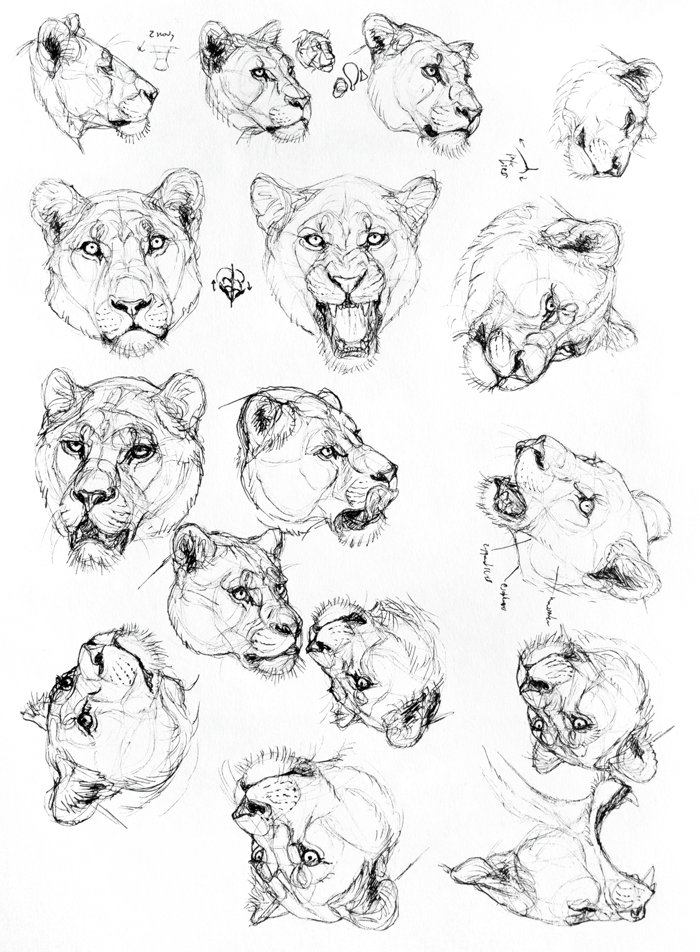 700x952 Monika Zagrobelna On Twitter To Make The Best From Studying