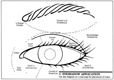 400x282 How To Use Eye Makeup Make Up How To Apply Eyeshadow
