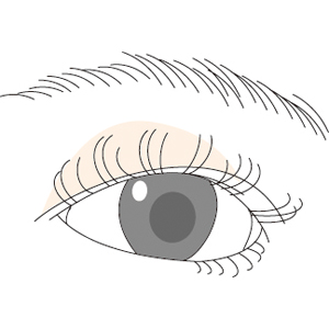 300x300 Akachanfude Rakuten Global Market Mizuho Kumano Brushes (Kumano