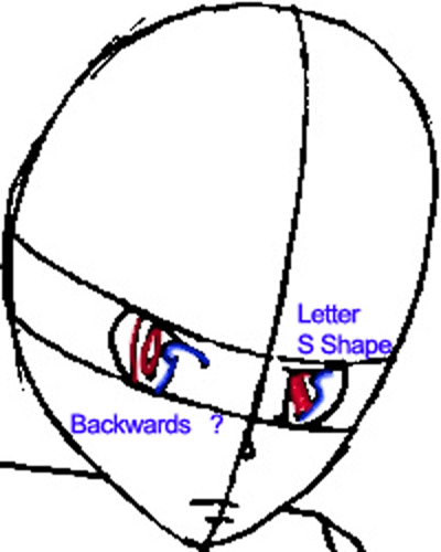 400x500 How To Draw Tsuna From Katekyo Hitman Reborn With Easy Step By