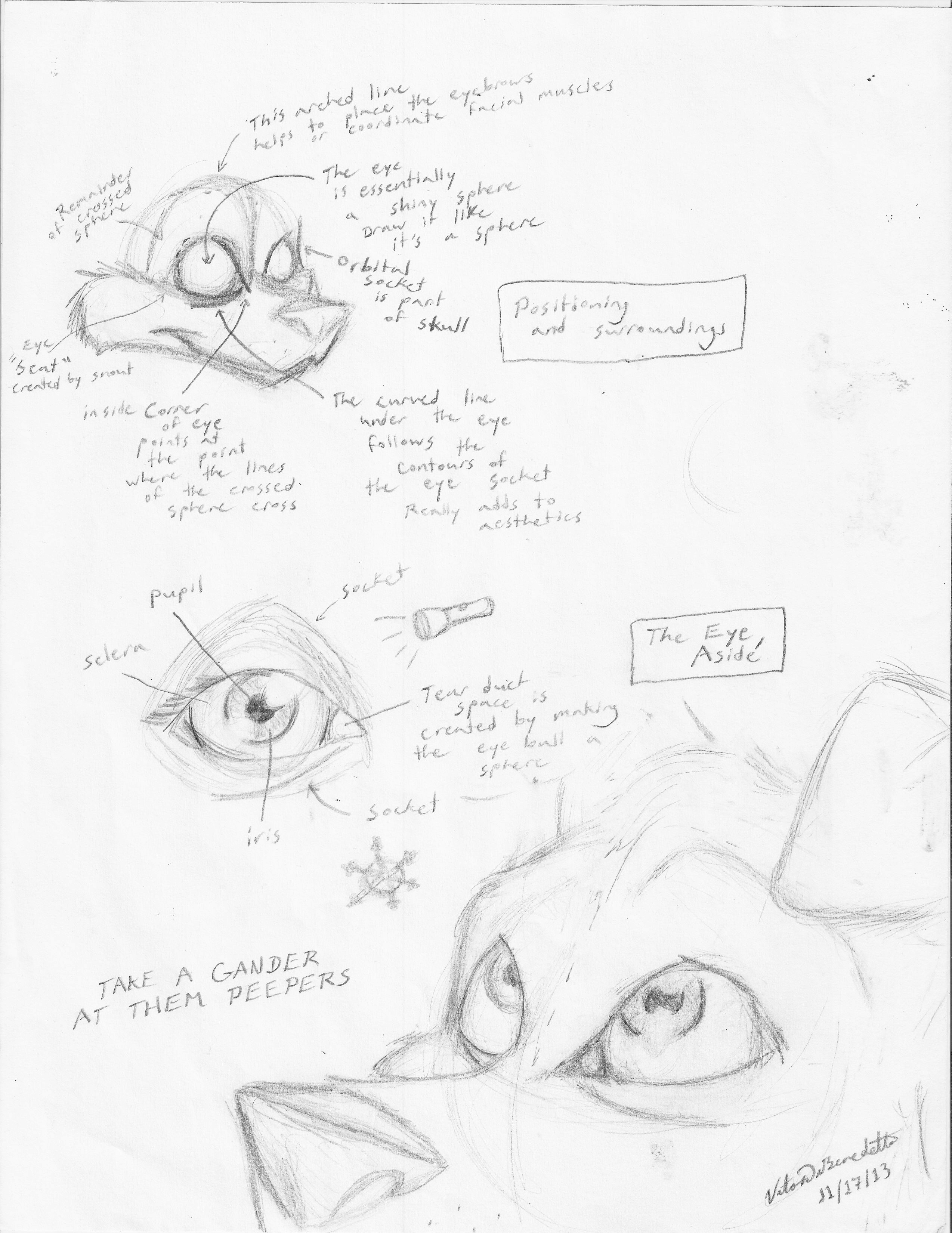 2548x3300 Tutorial] Observations Eyes By Jackofallass