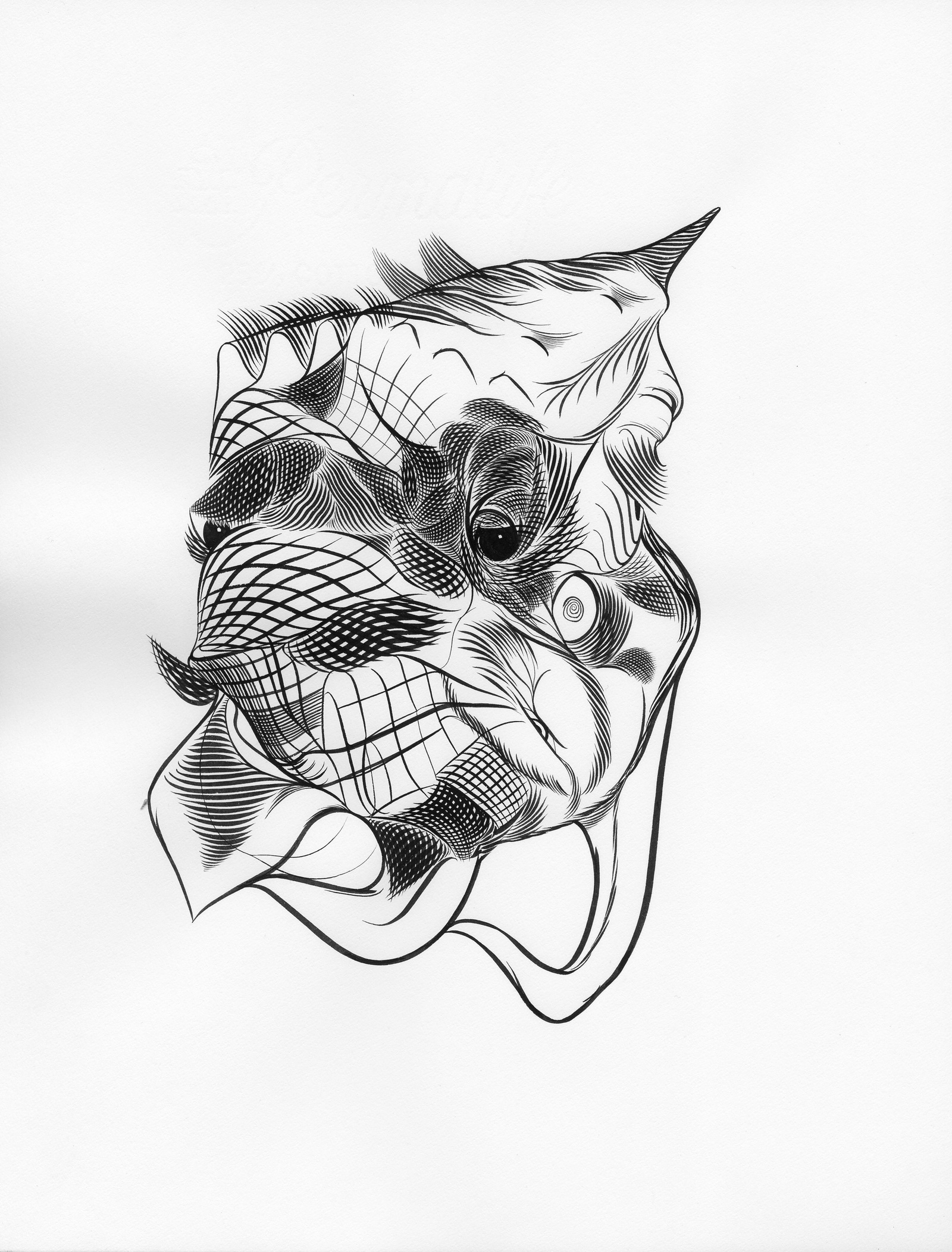 1600x2103 Robert Medvedz