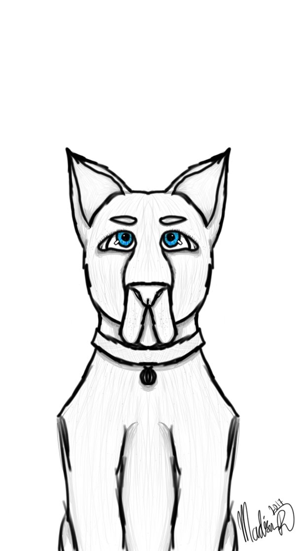 600x1116 Blue Eyeshadow