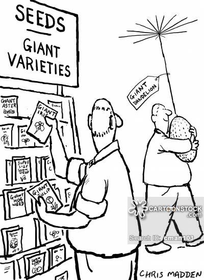 400x549 F1 Cartoons And Comics