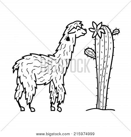 450x470 Hand Drawn Peru Animal Guanaco, Vector Amp Photo Bigstock