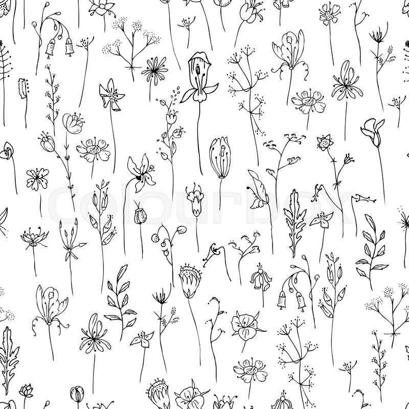 800x800 Seamless Pattern With Stylized Herbs And Plants. Black And White