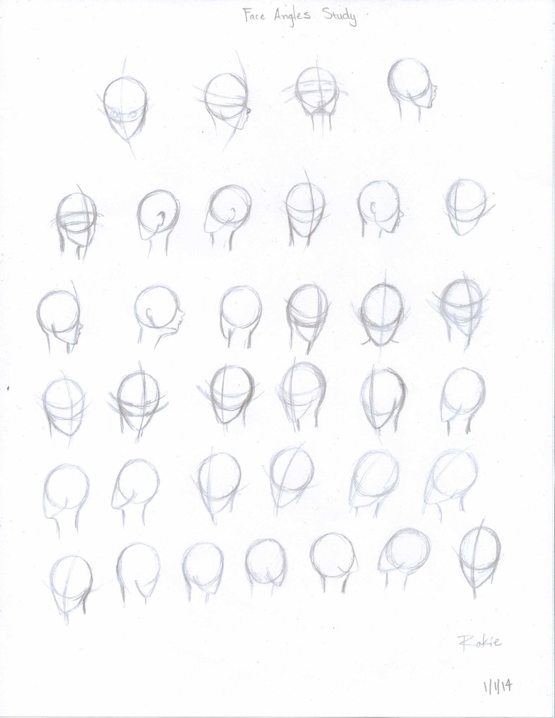 786x1017 Face Angles Study (1114) By Rokiebluerose