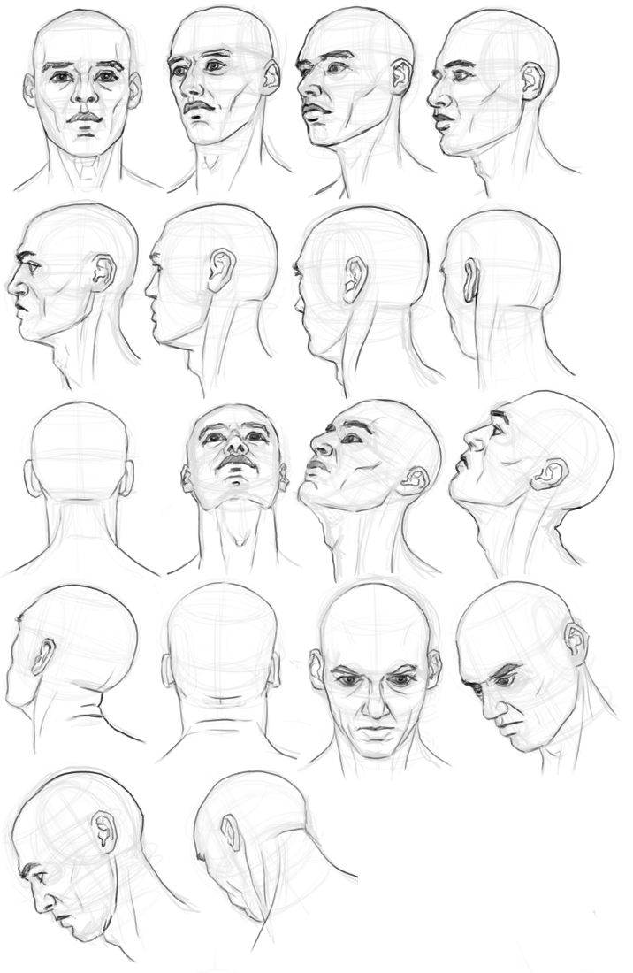 Face Construction Drawing at GetDrawings | Free download