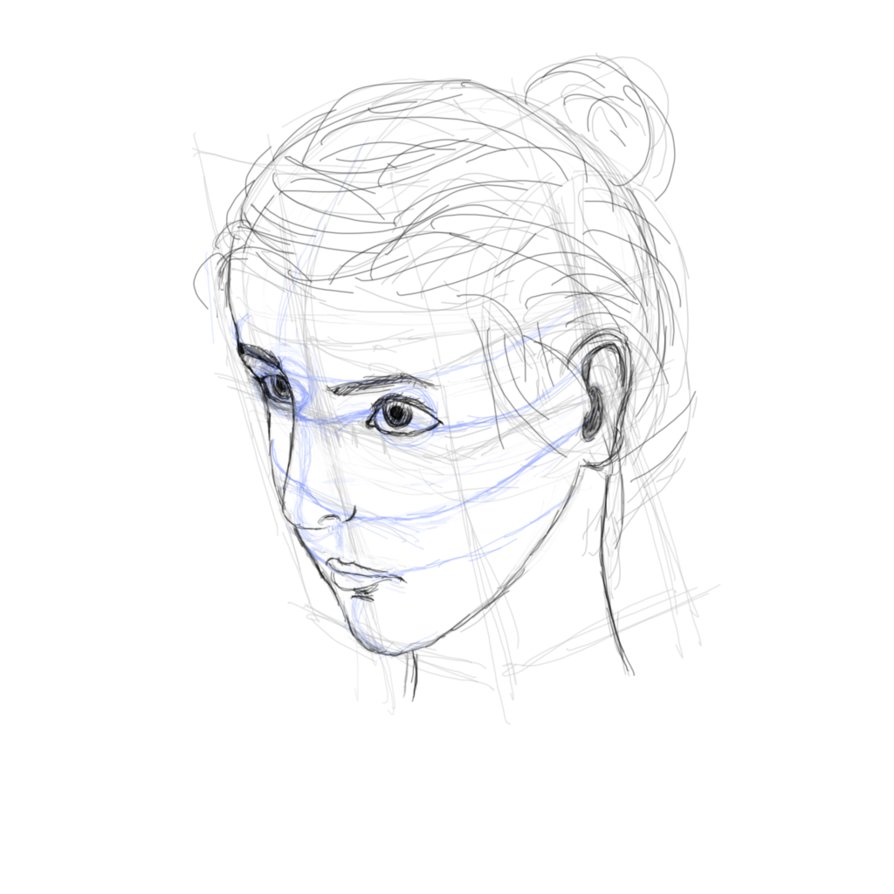 894x894 Face Proportions 3.2