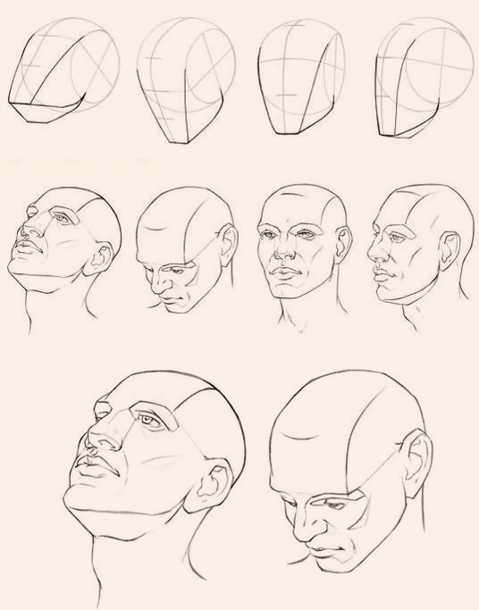 Face Construction Drawing at GetDrawings | Free download