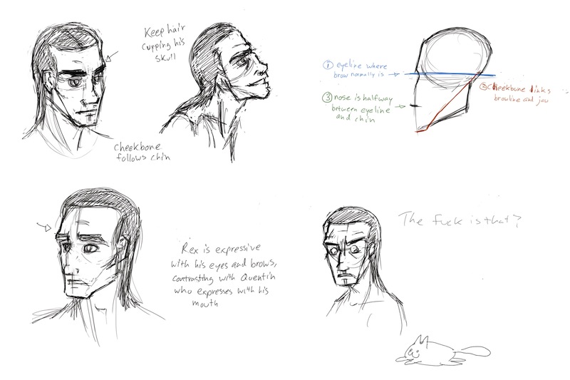 800x533 Rex Facial Construction By Romanjones