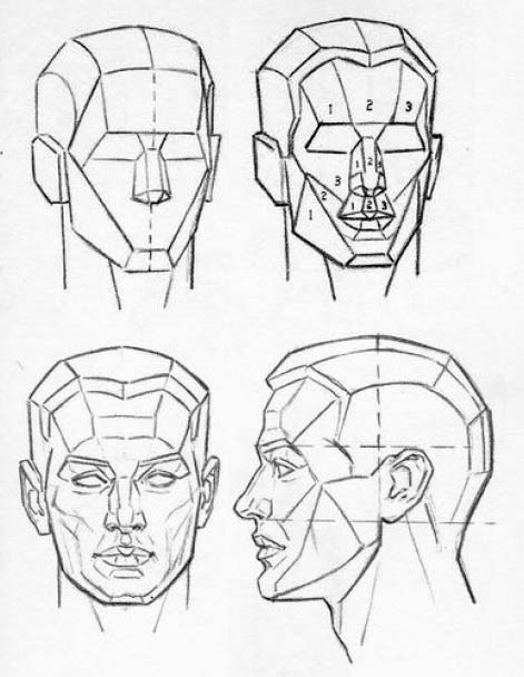 Face Construction Drawing at GetDrawings | Free download