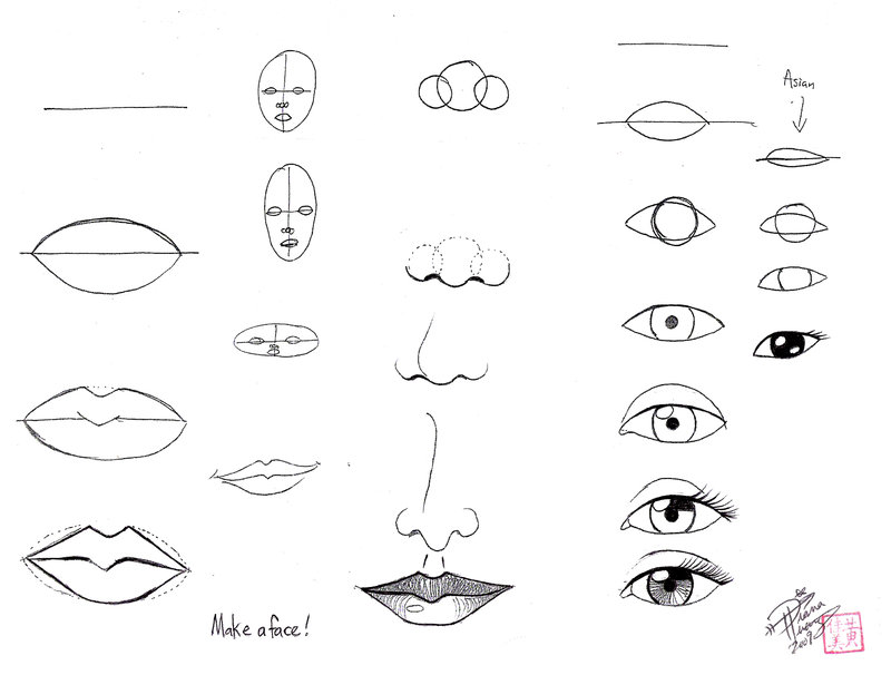 800x606 Draw Face Parts By Diana Huang