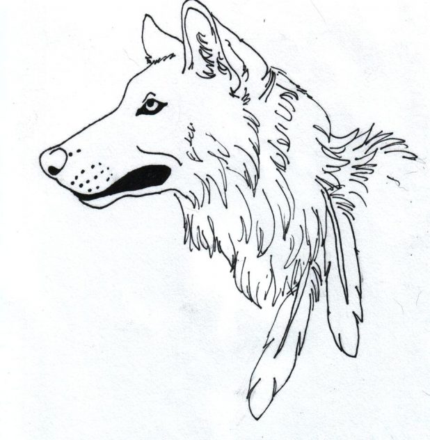 618x632 Wolf Girl Outline By Winged Drawing Face Pup Simple Wolf Outline