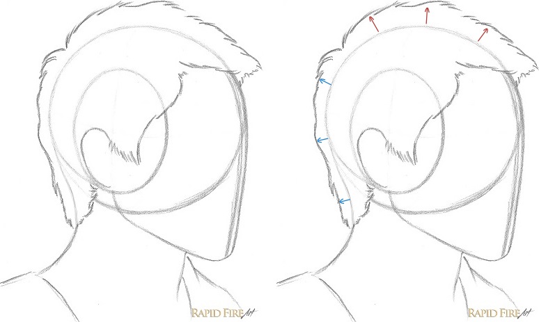 774x463 How To Draw Short Hair (Very Detailed) Rapidfireart
