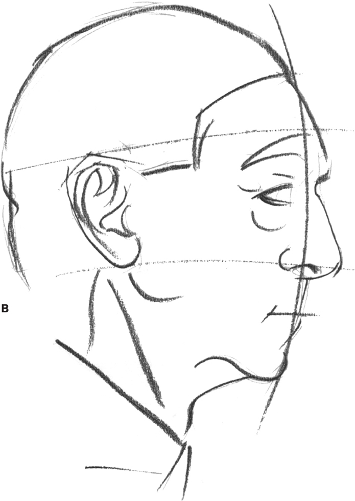 Face Lines Drawing at GetDrawings | Free download