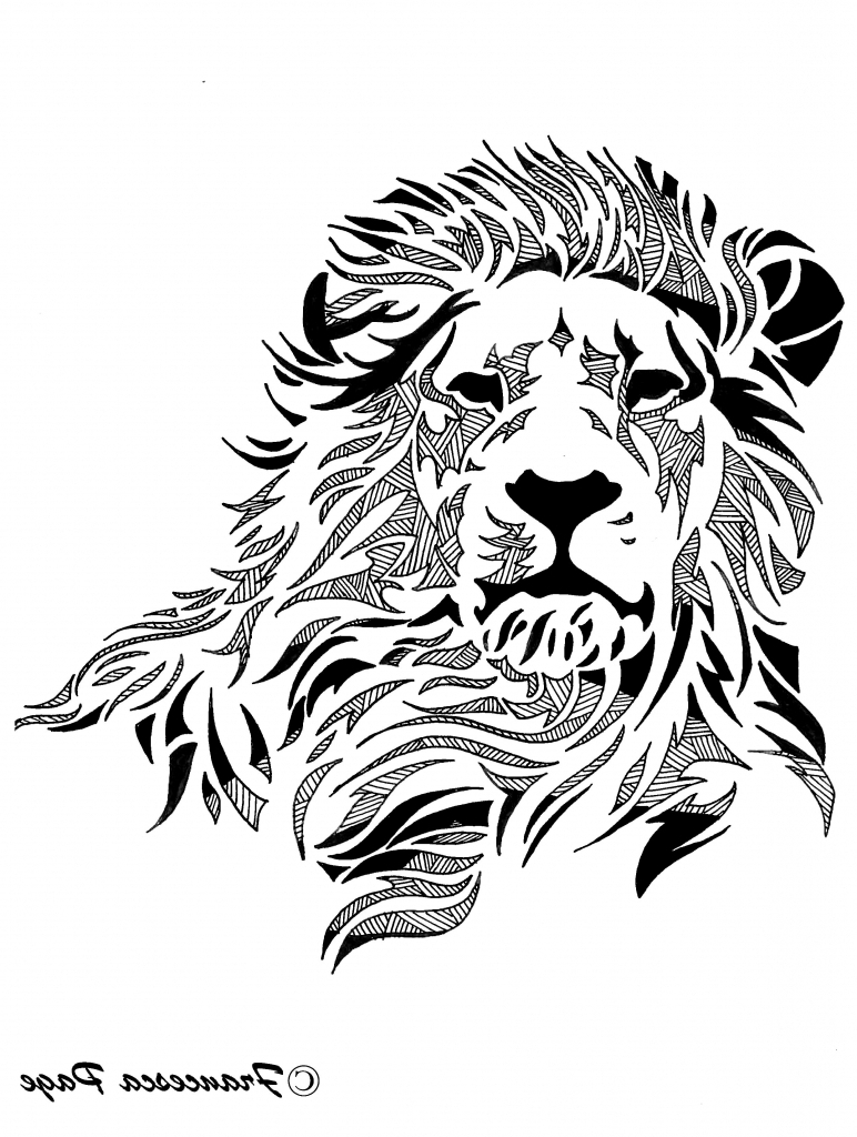772x1024 Face Of A Lion Drawing 1000 Ideas About Lion Drawing